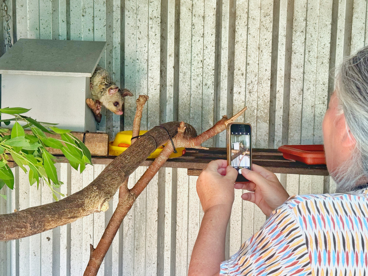 Phone Photography: Shoot, Edit, Organise & Print