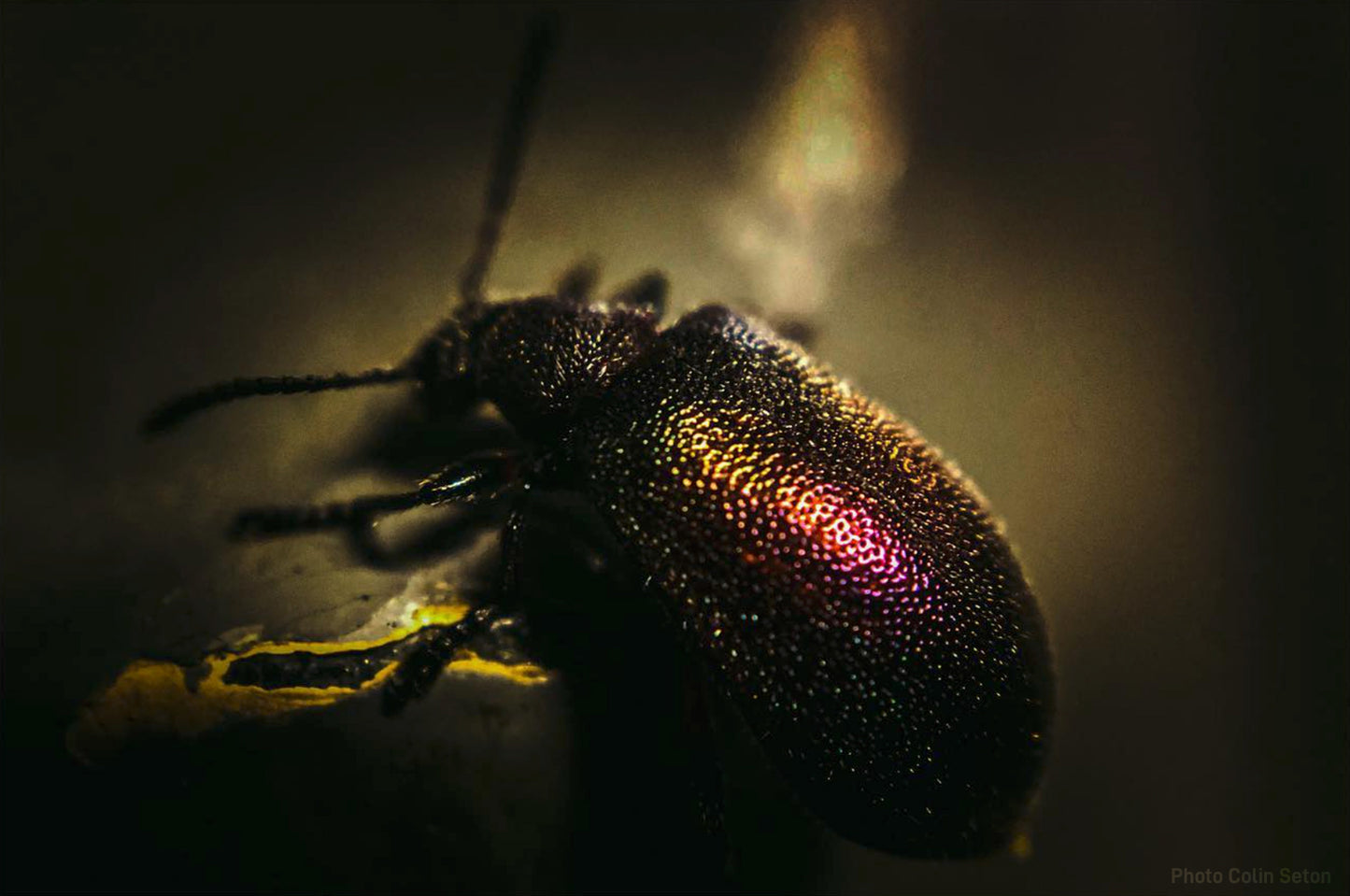 Phone Photography: Shoot, Edit, Organise & Print
