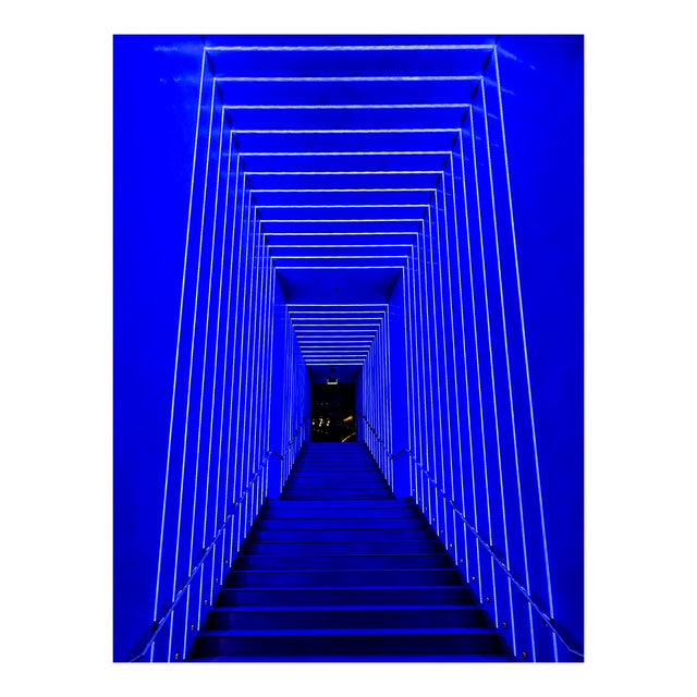 Sydney Night Walks - Winter Trail (phones and cameras)