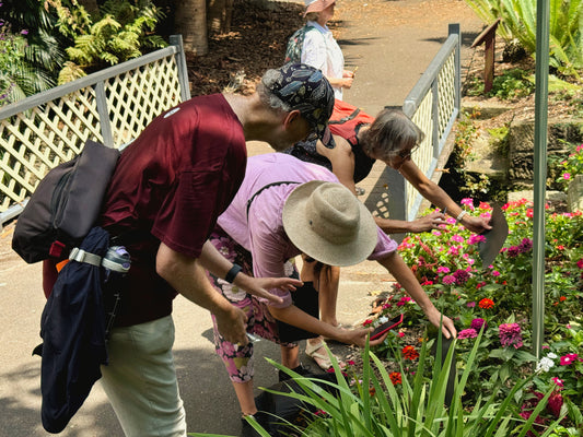 ReFrame: Phone Photography Course