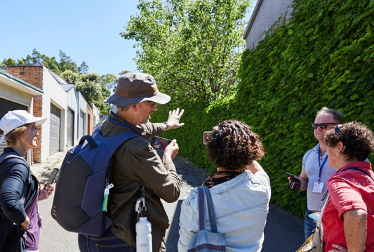 Explore Balmain — Birrabirragal (Phone)