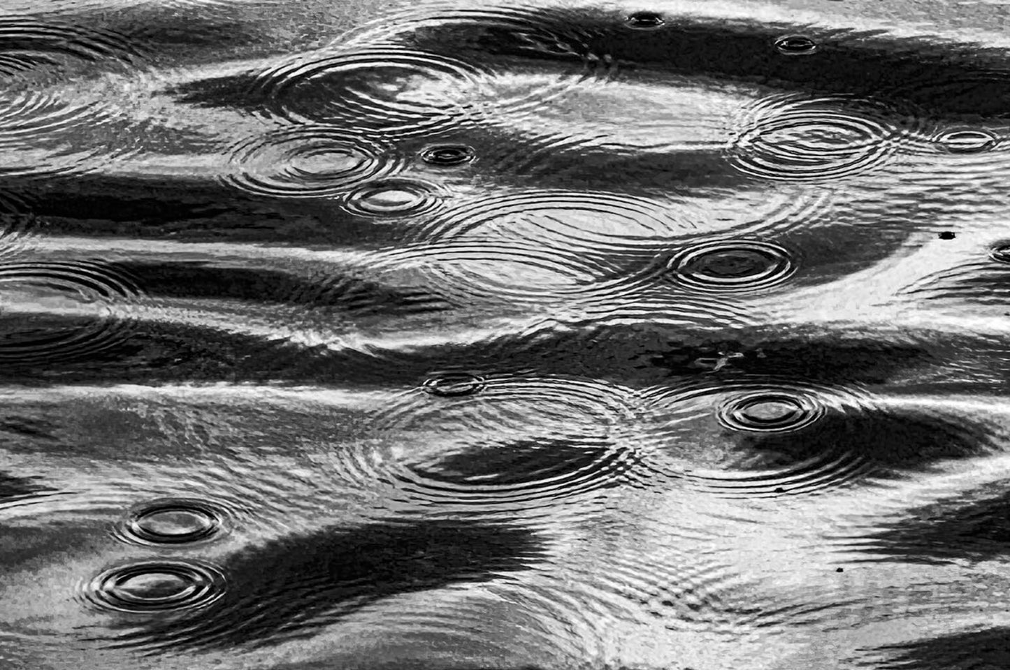 Wollongong Urban Photography: Lenses + Accessories Workshop