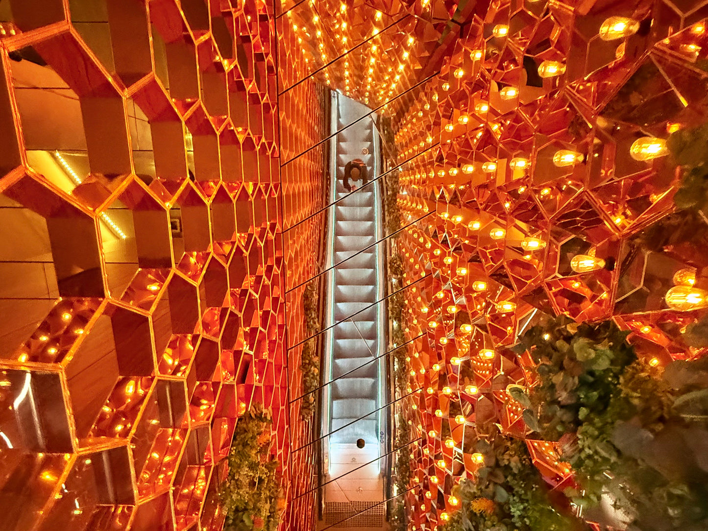 Night Walk - Summer Socials