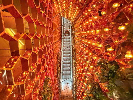 Night Walk - Summer Socials