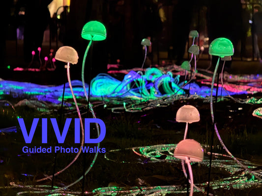 VIVID Guided Photo Walk