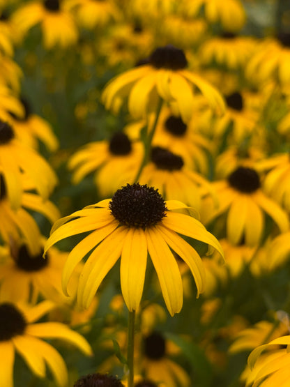 Wollongong Urban Photography: Lenses + Accessories Workshop