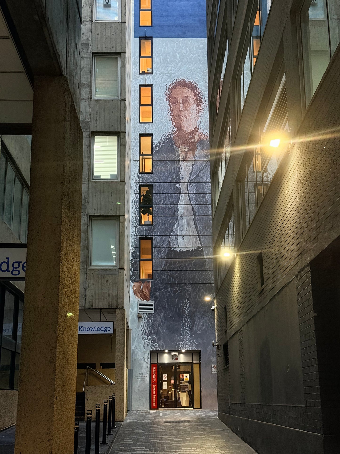 Night Walk - Summer Socials