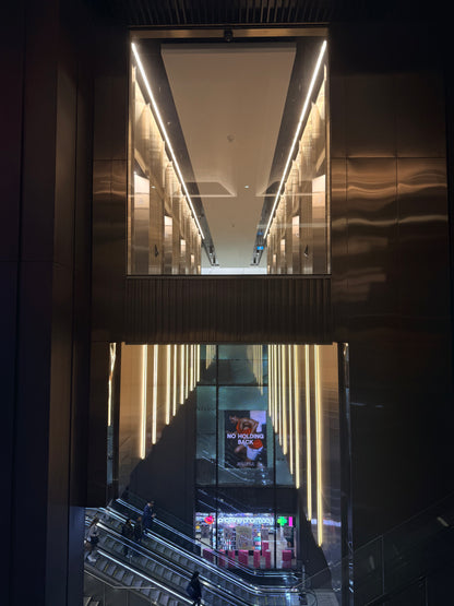 Night Walk - Summer Socials