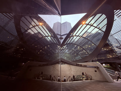 Night Walk - Summer Socials