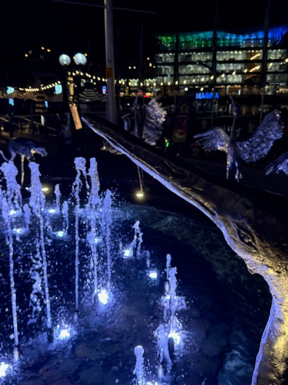 Sydney Night Walks