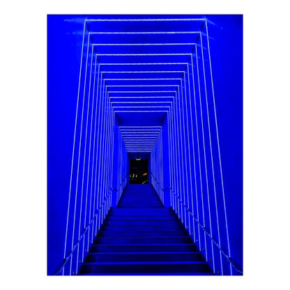 Sydney Night Walks