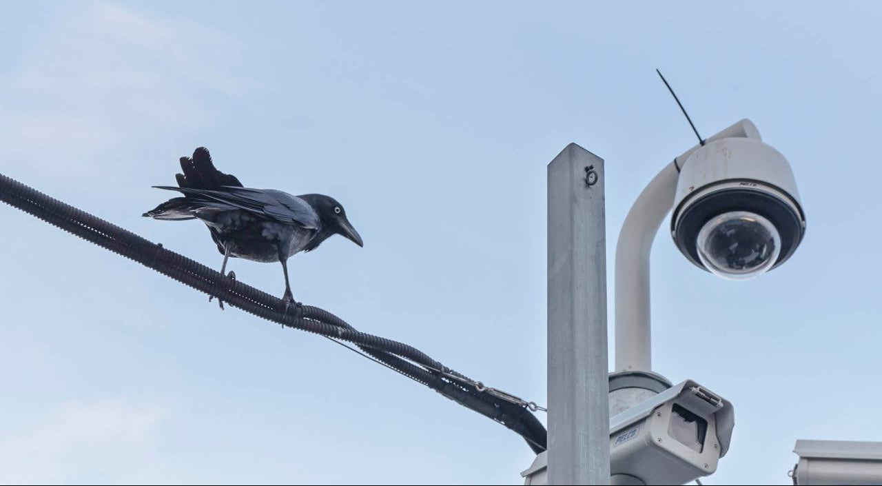 Sydney Photo Workshops Newsletter